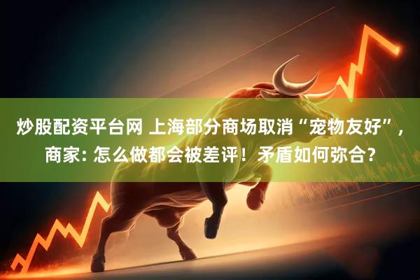 炒股配资平台网 上海部分商场取消“宠物友好”，商家: 怎么做都会被差评！矛盾如何弥合？